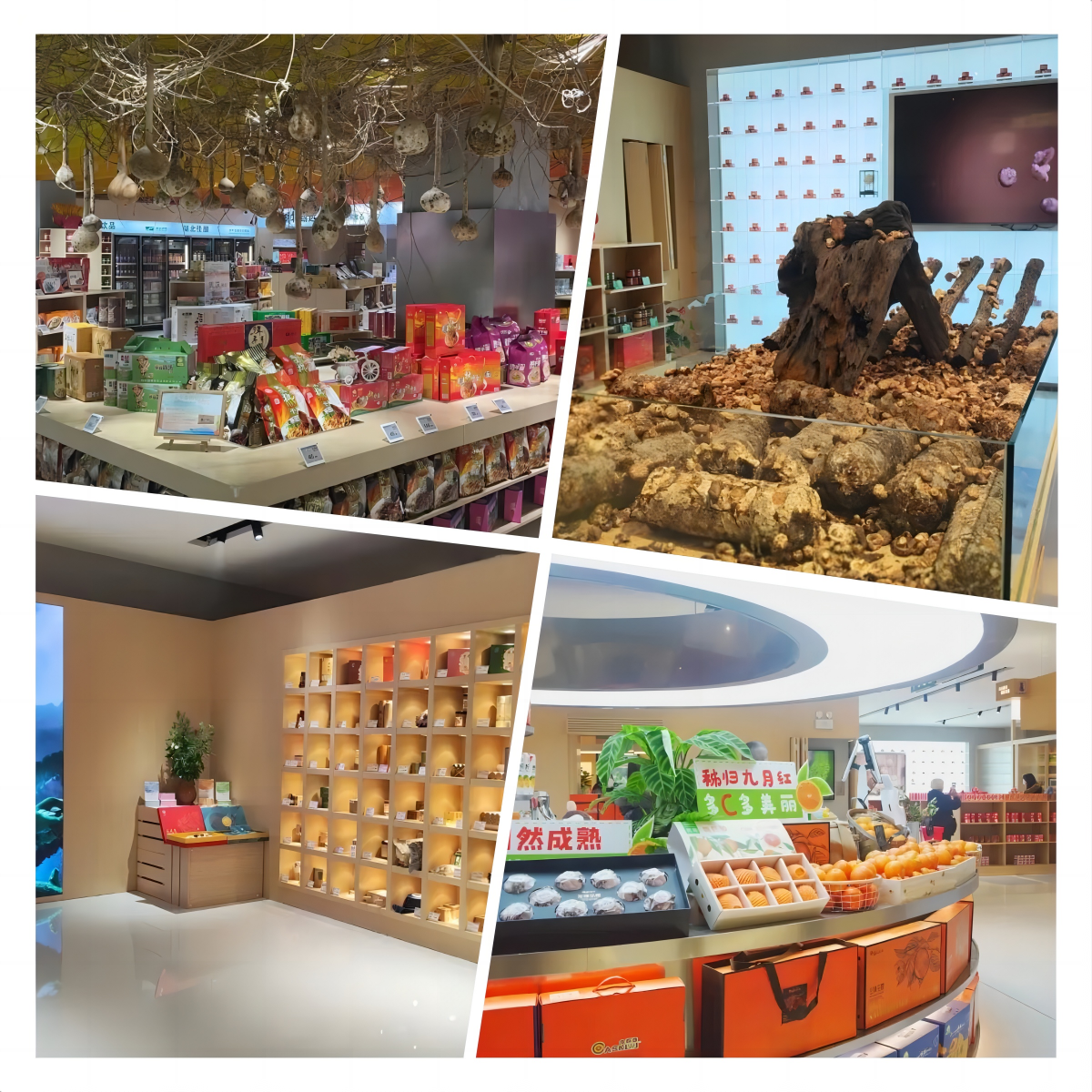 贝斯特 - 全球最奢华的游戏平台