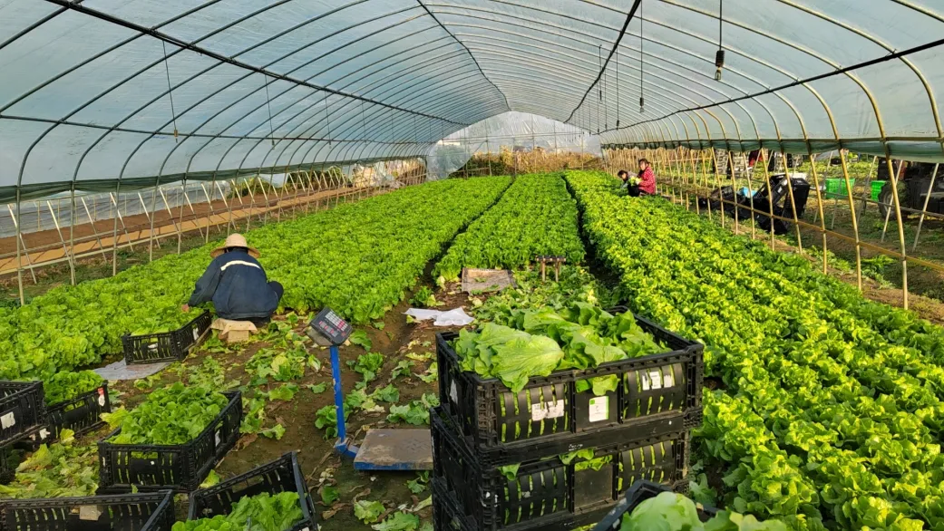 贝斯特 - 全球最奢华的游戏平台